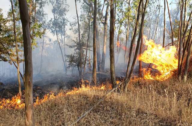 Il fuoco anche nel territorio boschivo di Aidone, in contrada San Bartolo, fonte idrica di Raddusa 